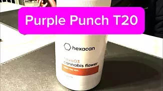 Hexacan Hexa 03 - Purple Punch T20