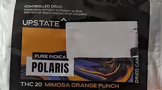 UPSTATE POLARIS T20 | MIMOSA ORANGE PUNCH | FIRST IMPRESSIONS & REVIEW | Oranges