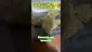 Video Thumbnail:  Proper Canna Medz