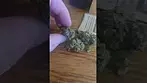 4C Labs T17 Sudz