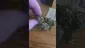 Video Thumbnail: MumMedCanUK