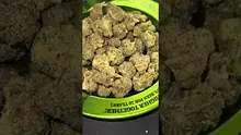 High Jack Video Thumbnail