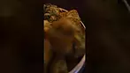 GELATO THC 20% CBD1% #SHORTS  #medicalcannabis Gelato GEL-T20 Glass Pharms Releaf Medical Cannabis