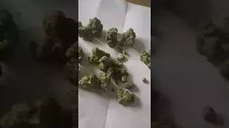LOT 420 - Gelato 33 (GLT) (UK Medical Cannabis Prescription)