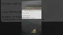 TimeTooToke Video Thumbnail