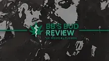 BB's Bud Review Video Thumbnail