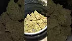 #bignarstie carbon fibre t25%thc #medicalcannabis #cannabisdaily #flavours