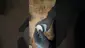 Video Thumbnail: Casper