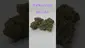 Video Thumbnail: HighStandards420