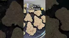 Pain Patient Video Thumbnail