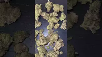  4C Labs “Sudz”  17% THC Medical Cannabis  FIRST LOOK #4CLabs #Sudz #THC #MedicalCannabis