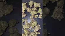 CheeseMon4 Video Thumbnail