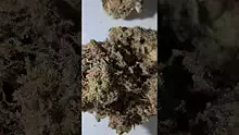Konna Video Thumbnail