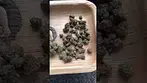 Legal medicine medicus fire cookies review #mensmentalhealth #medicated #ukmedicine #medicus #ukmeds