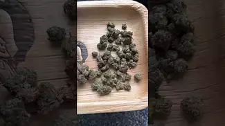 Legal medicine medicus fire cookies review #mensmentalhealth #medicated #ukmedicine #medicus #ukmeds