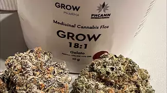 GROW 18:1 Gelato 60 Indica 40 Sativa 1st impressions (Legal Medical Cannabis)
