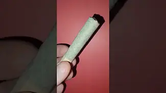 Roll Test - Mac 1+