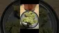 Video Thumbnail: Concanna