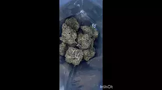 Lemon Cherry Gelato T22 (AAAA / Lot 420) - UK Medical Cannabis Strain | #Shorts #UK #Meds #Cannabis