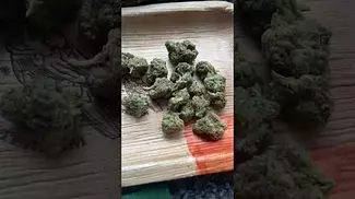 Uklegal #4clabs Pink Kush 33%thc 1%cbd #medicated #itsokaytotalk #healing #healing #stayfocused