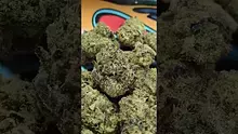 PrescribedBouquet Video Thumbnail