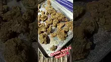 420Medical Video Thumbnail
