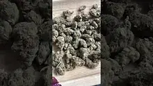  Sirspliffalot87 Video Thumbnail
