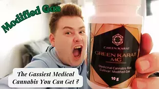 Medical Strain Review - Modified Gas By Green Karat | The Gassiest Medical Cannabis You Can GET ?