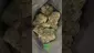 Video Thumbnail: Zee420