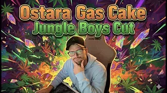 Ostara Gas Cake UK Medical Flower Review