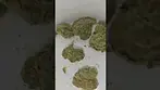 IPS KK T24 King's Kush x 10g