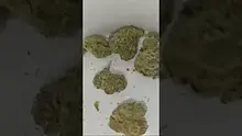 Medi Blaze Video Thumbnail
