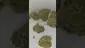 Video Thumbnail: Medi Blaze