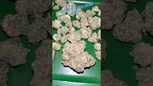 Bajan Video Thumbnail