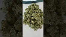 Medical UK Cannabis Video Thumbnail