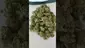 Video Thumbnail: MedicalUKCannabis