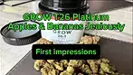 GROW T26 Apples & Bananas Jealously Legal Medical Cannabis Flower
