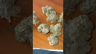Green Karat - Pave S1 #medicalmarijuanapatient #cannabiseducation #cannabisdaily