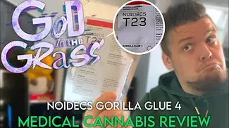 Noidecs GG#4 - Medical Cannabis  Reveiw