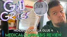 God in the Grass Video Thumbnail