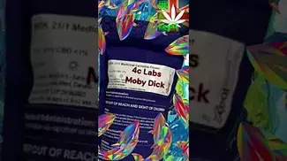 4c Labs Moby dick The flower 