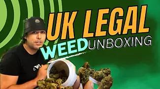 Black Garlic, L.A. Kush Cake and more! UK’s TOP MED BUD STRAINS
