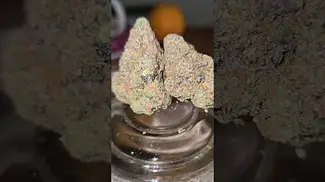 Four20 - Pineapple Fruz T30 (Animal Mints Bx1 x Zkittlez Bx1)