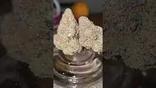 Vinnie's Lounge Video Thumbnail