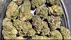 Aurora T27 pink diesel REVIEW
