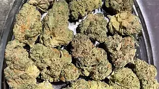 Aurora T27 pink diesel REVIEW