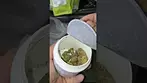 Unboxing Endopure Mc Endothena (Wappa) T23