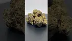 Vasco - blueberry Banana | #ukmedicalcannabis #vasco