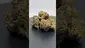 Video Thumbnail: Herb Gaming