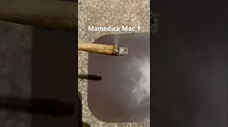 Mamedica T25 Mac 1 burn